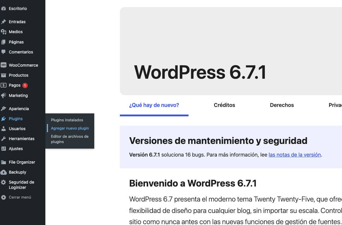 Accept payments in your WooCommerce store in seconds!